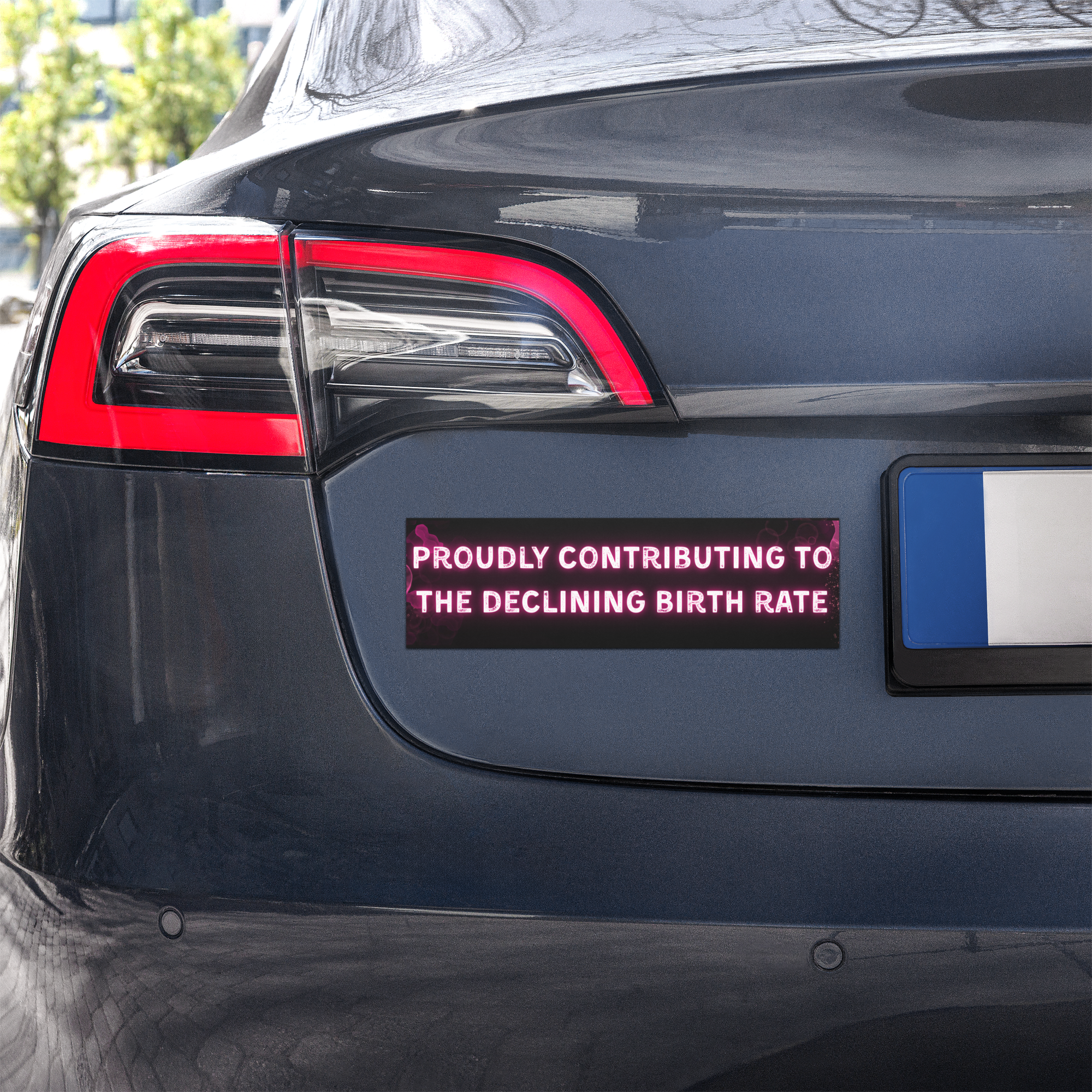 Proudly Contributing to the Declining Birth Rate | Car Magnet